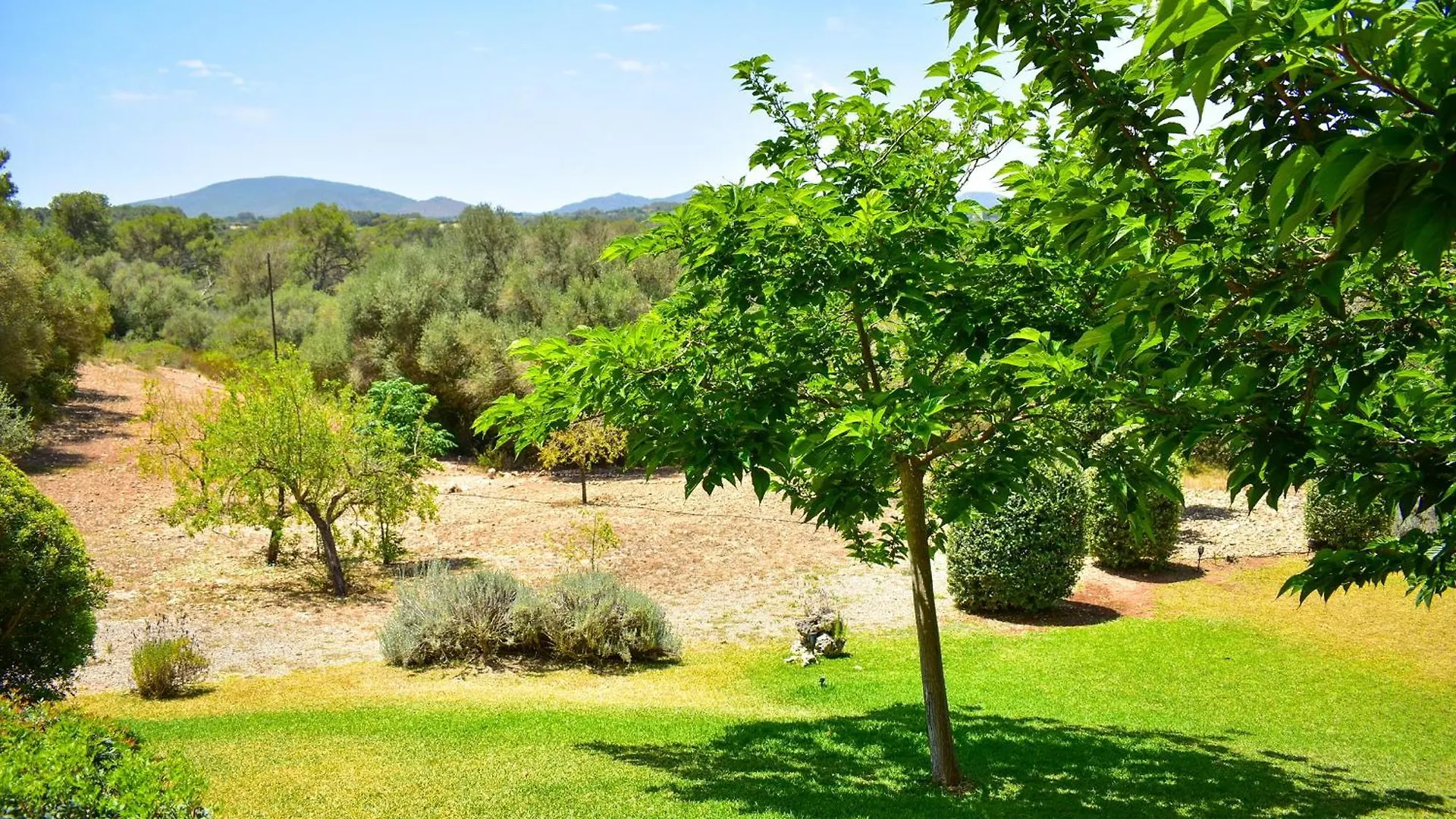 Holiday home Finca Porto Cristo Manacor  Spain